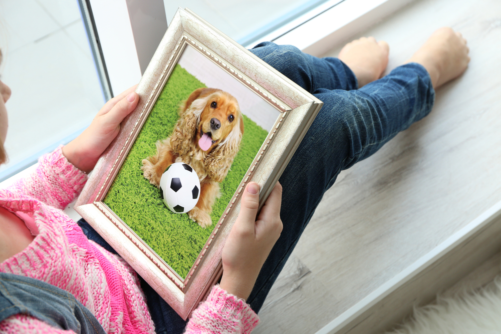 Little girl holding photo frame with picture of dog. Happy memories concept.