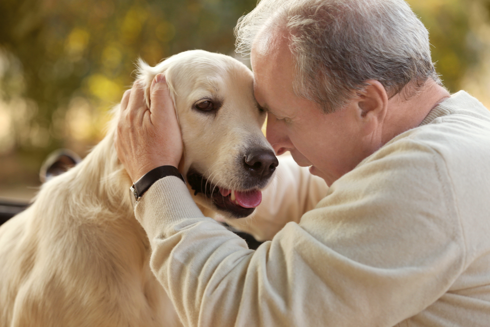 老犬の介護に役立つ犬用介護用品を紹介！
