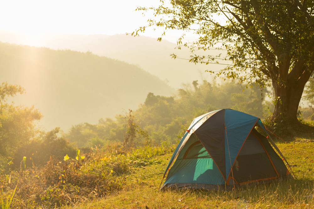 Camping point at morning