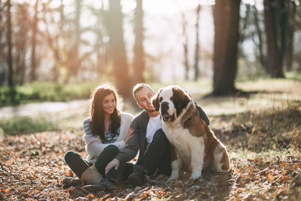 Young couple enjoying nature outdoors together with their adorable Saint Bernard puppy. People and dogs theme.