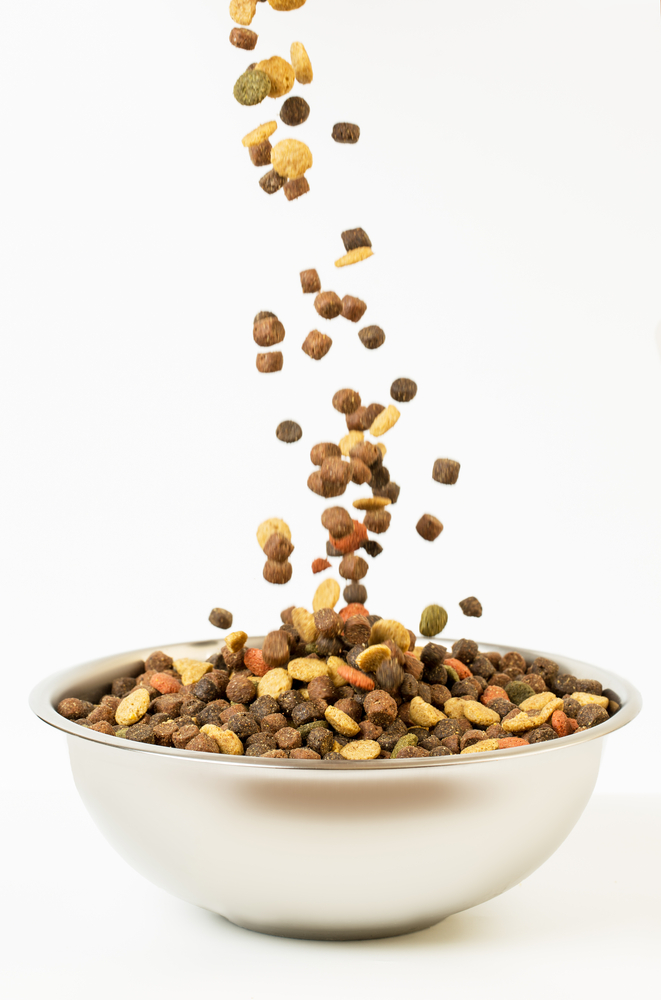 Pet food falls into the bowl for feeding.