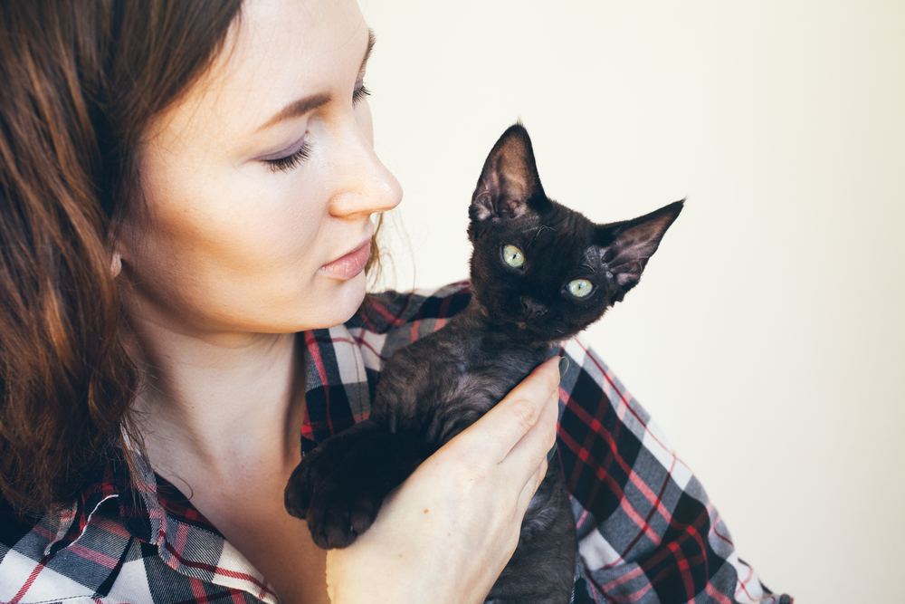 Happy young woman is holding little kitten. Home pets. Love and care. Beautiful female hugging his cute curious devon rex cat