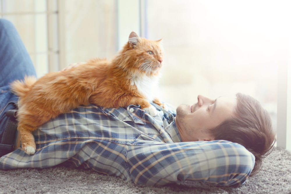 Young man with cute cat lying on floor near window
