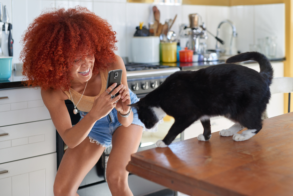 猫の目線に合わせて携帯で撮影している女性
