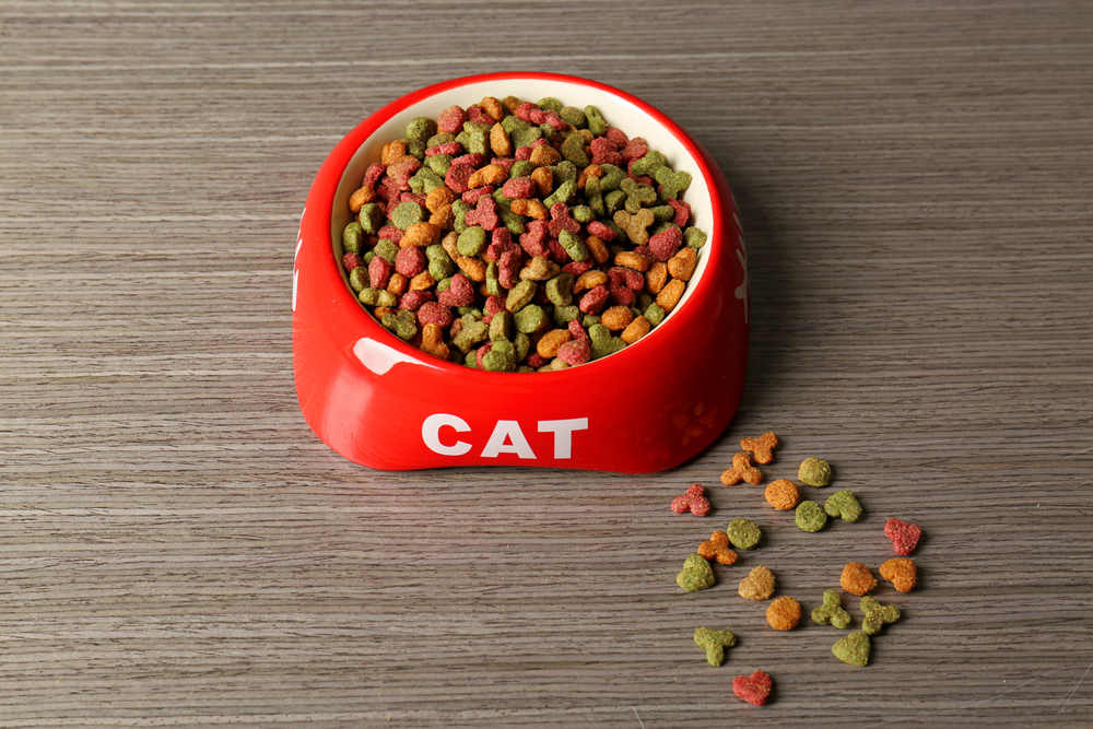 キャットフードのカロリーは？猫の餌の適正量と回数について解説