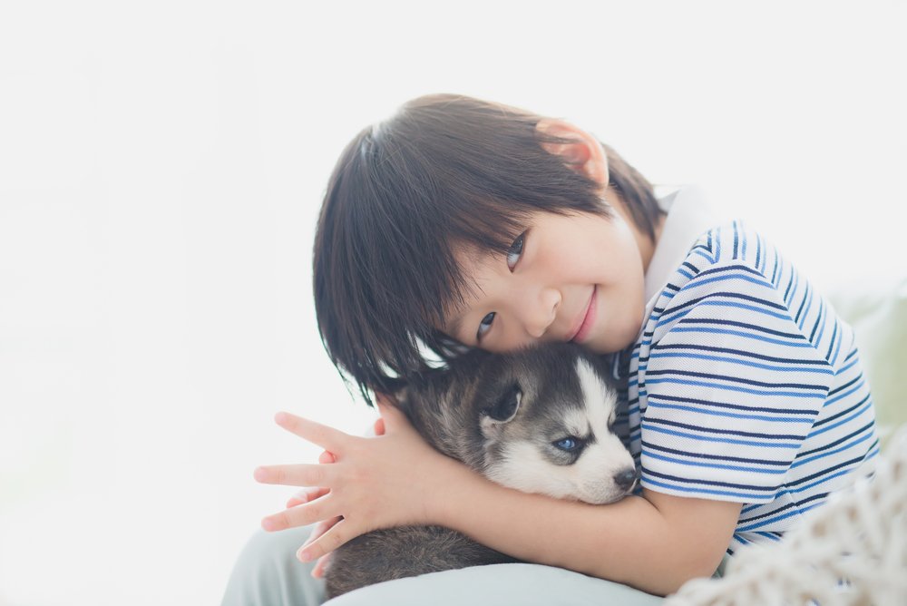 Cute asian child playing with siberian husky puppy on white basket chair