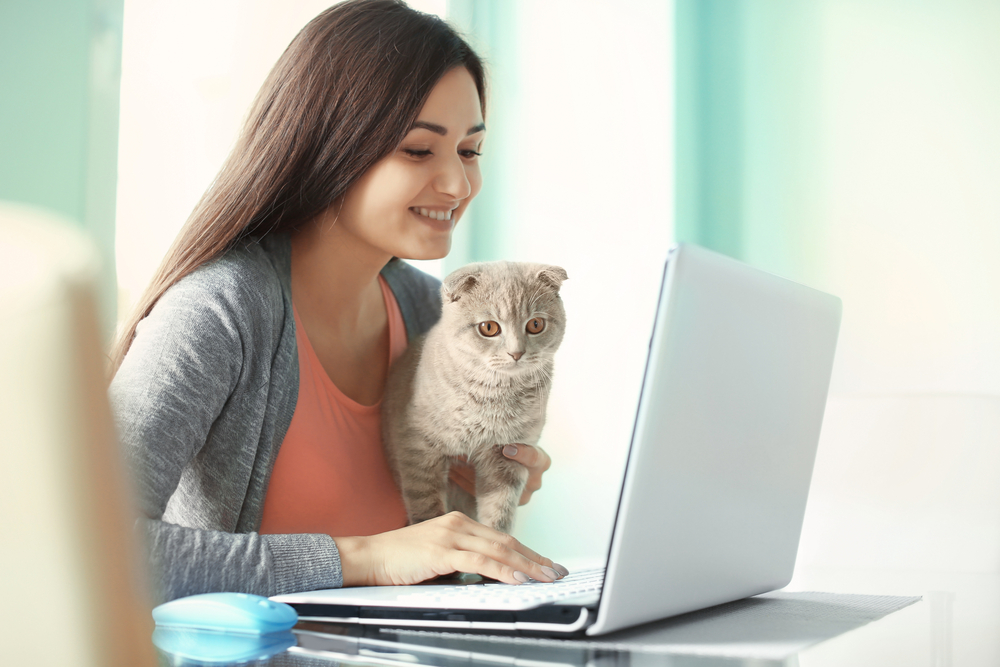 【2023年版】猫がパソコンやキーボードに乗ってくる理由！対策や注意点を解説 