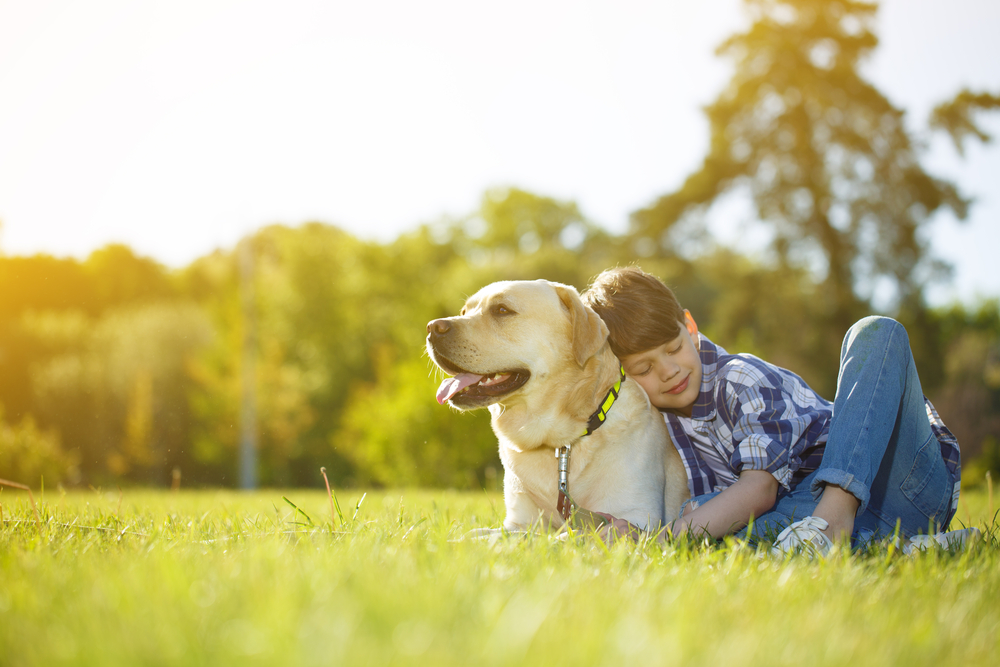 Young boy and his dog lying on the grass together. Happy boy hugging his pet Labrador smiling with his eyes closed copyspace nature happiness support friendship peaceful summer animals lifestyle