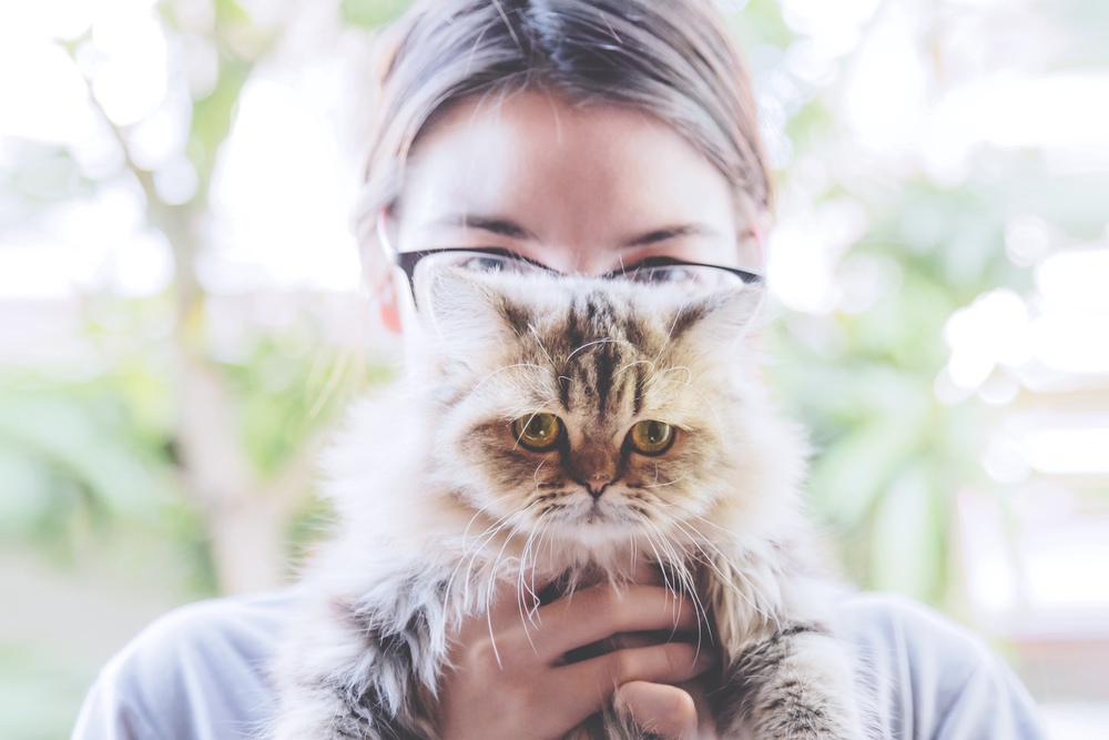 young woman holding cute Persian kitty cat in front of her in the garden and kitten cat looking at the camera. love to animals. selective focus, vintage photo and film style.