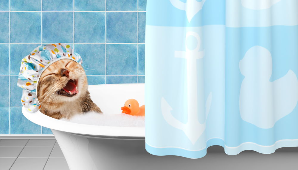 Funny cat is taking a bath with toy duck.