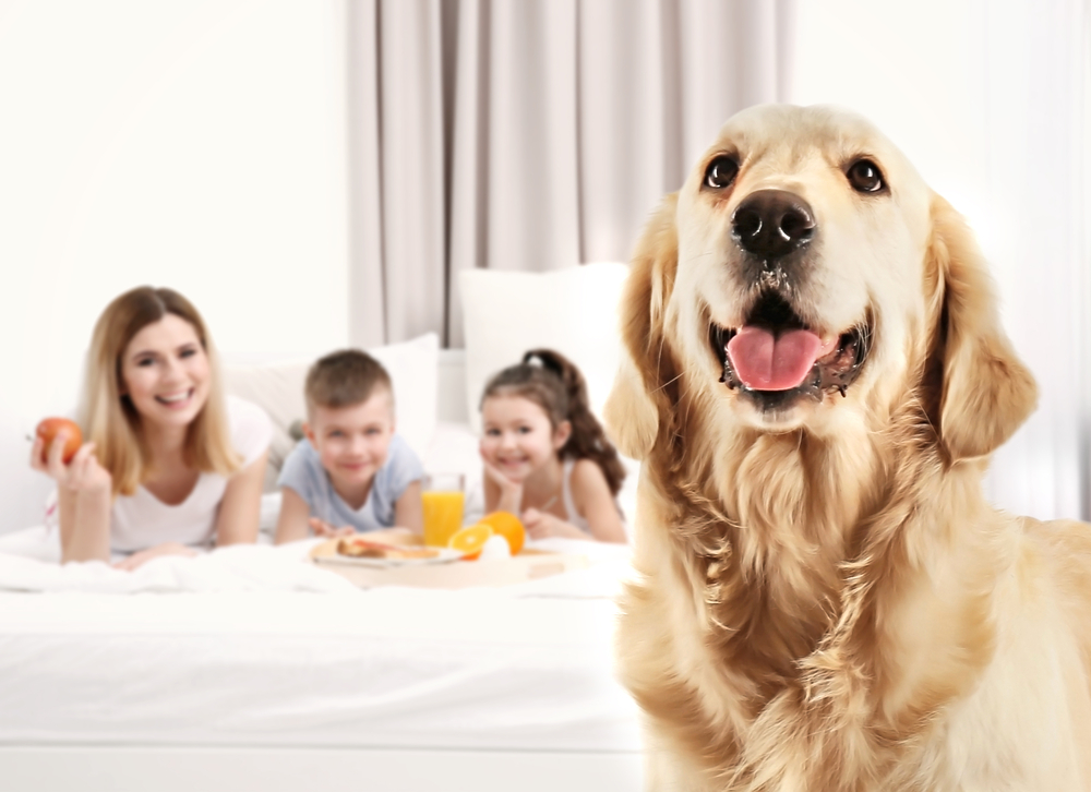 Dog and happy family on background