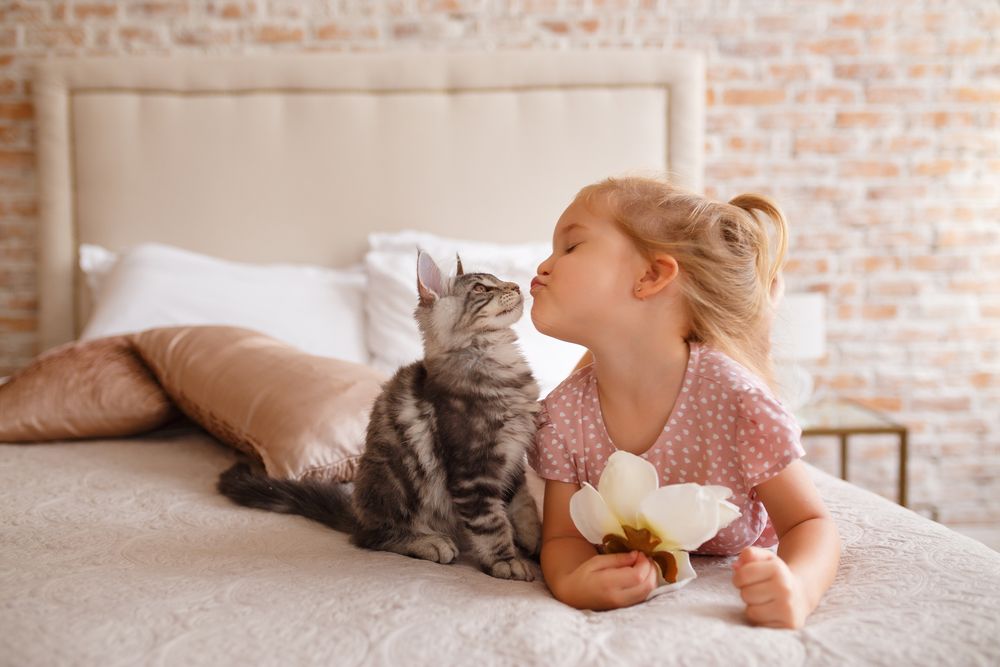 猫とキスする少女