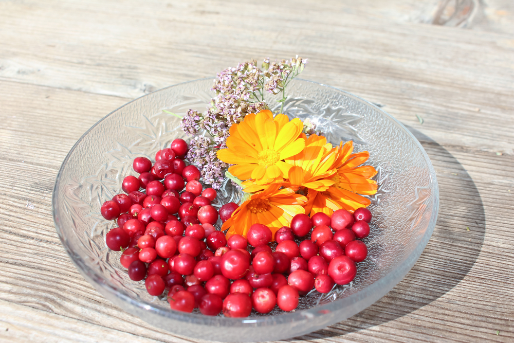 Healthy bowl with cranberries, marigold and yarrow