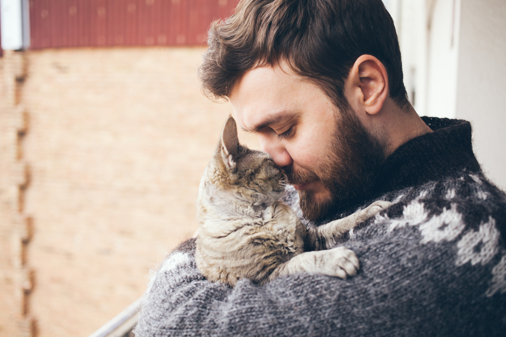 Cat and man, portrait of happy cat with close eyes and young man, people playing with the kitten. Handsome Young Animal-Lover Man, Hugging and Cuddling his Gray Domestic Cat Pet