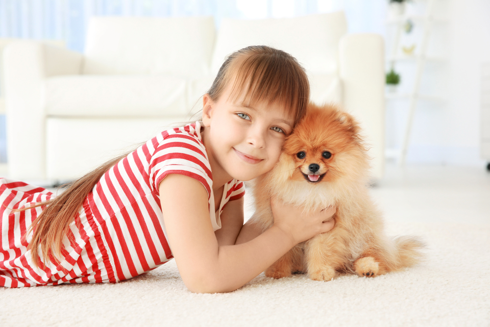 小型犬と女の子