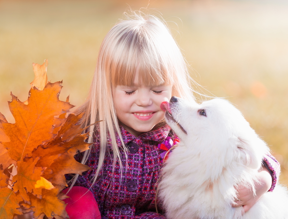 Beautiful little blonde hair girl, has fun smile face, embraces, kiss and plays with puppy dog Japanese Spitz. Child and animals portrait. Happy amazing couple. Autumn time. Close up.