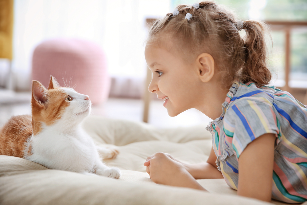 犬や猫につい話しかけてしまうのはどうして？動物に話しかける心理と癒し効果を解説！