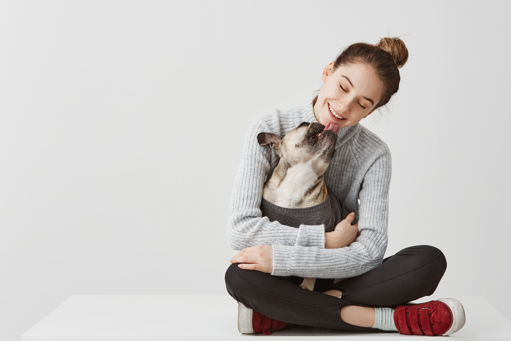 Content brunette lady in casual clothes sitting on table holding dog in hands.   Female startup designer hugging pedigree dog while it licking her chin. Joy concept, copy space