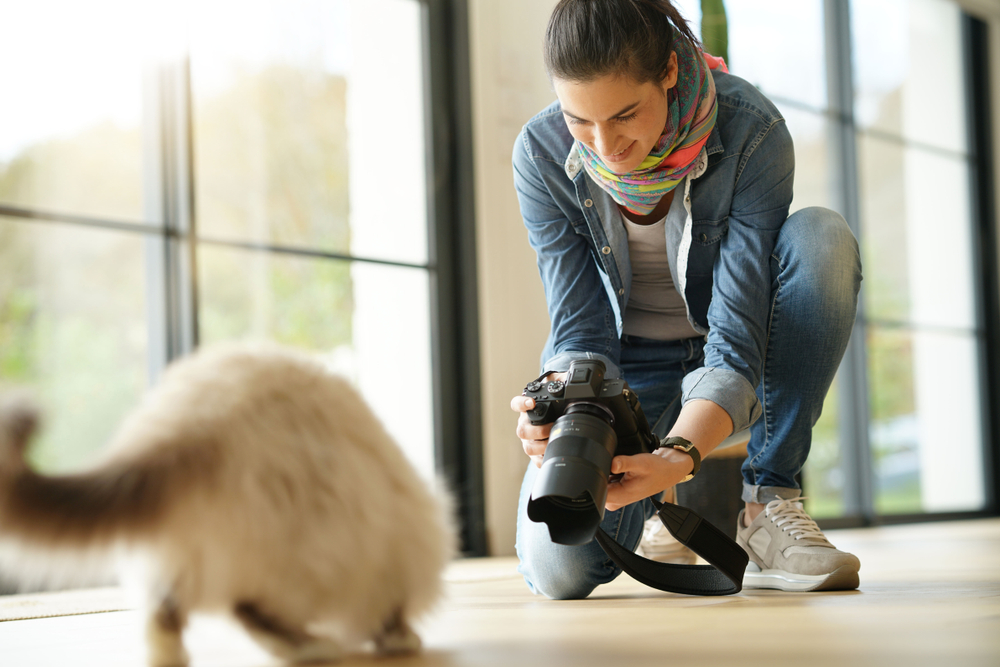 猫の写真を撮ろうとしている女性