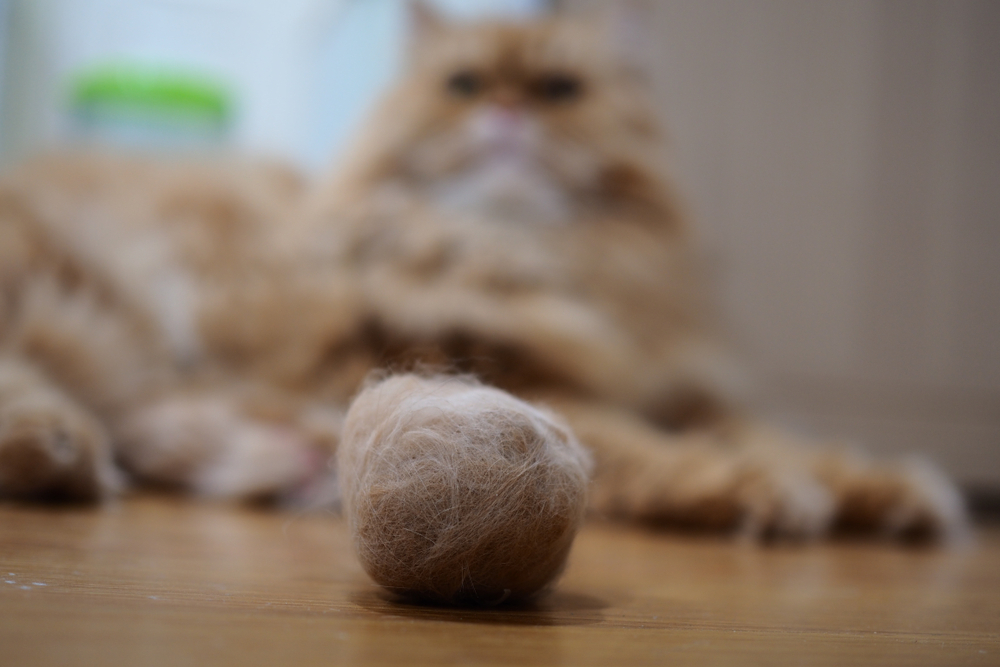 猫の毛で作られた毛玉ボール