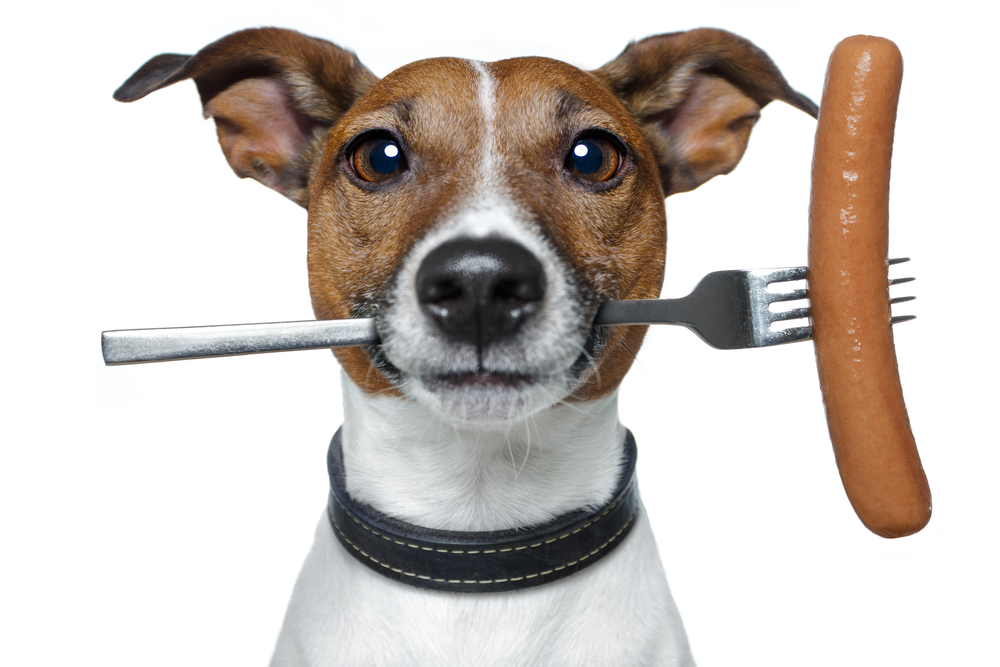 人間用のソーセージやハムを犬が食べても問題ない？栄養素や危険性の観点から解説！